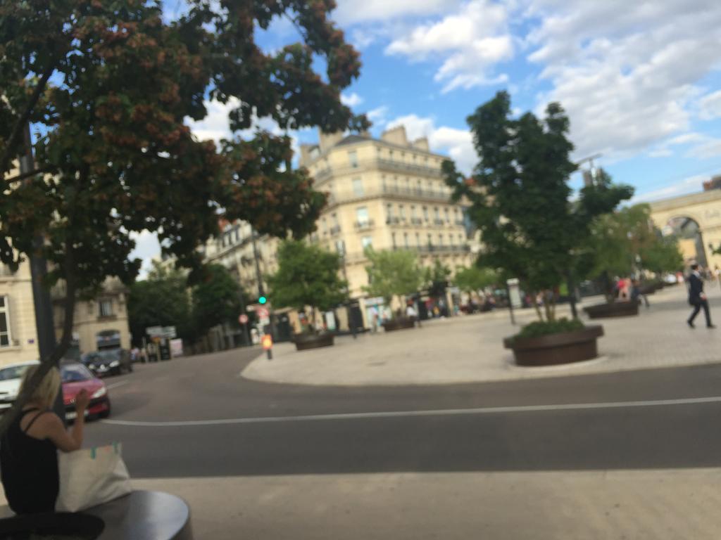 Ideal Art Deco Compris Un Parking Prive Securise Darcy Liberte Centre Gare-Ville Dijon Luaran gambar